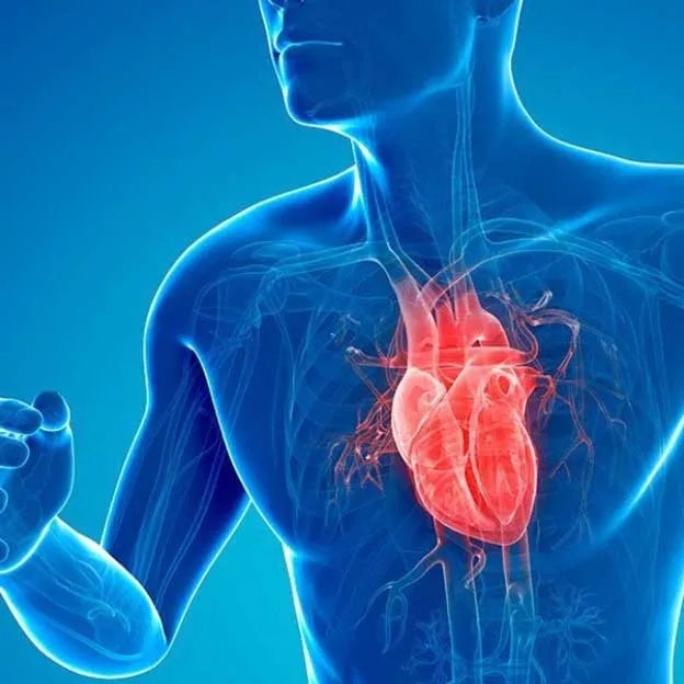 How can I improve my overall heart health?