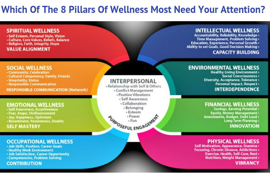 What Are the 5 Parts of Holistic Health? A Comprehensive Guide