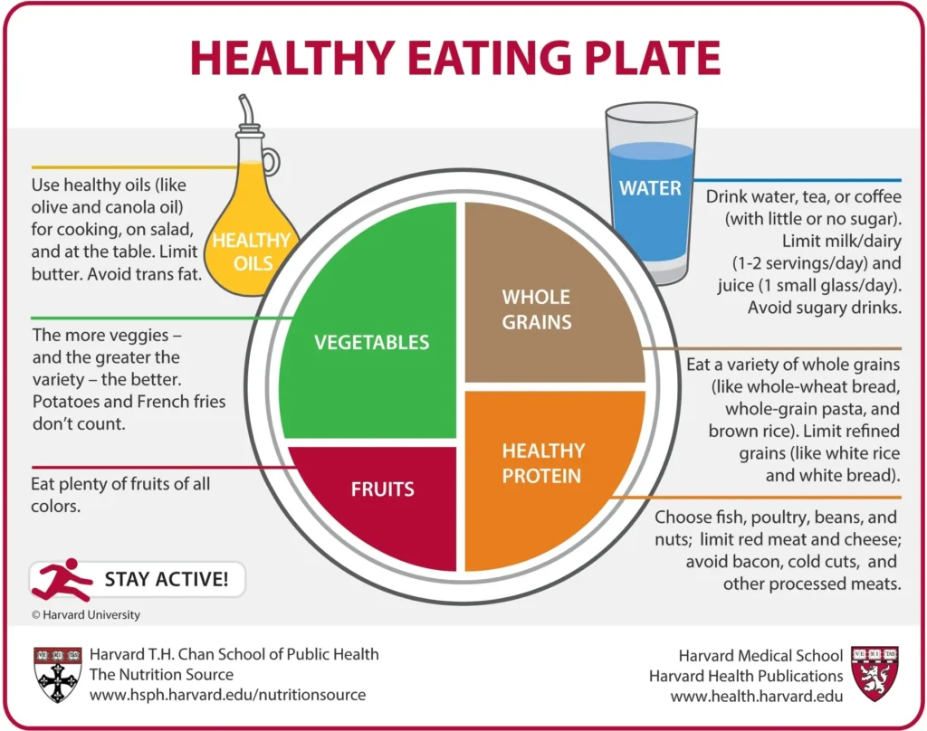 Balanced Diet and Macronutrients