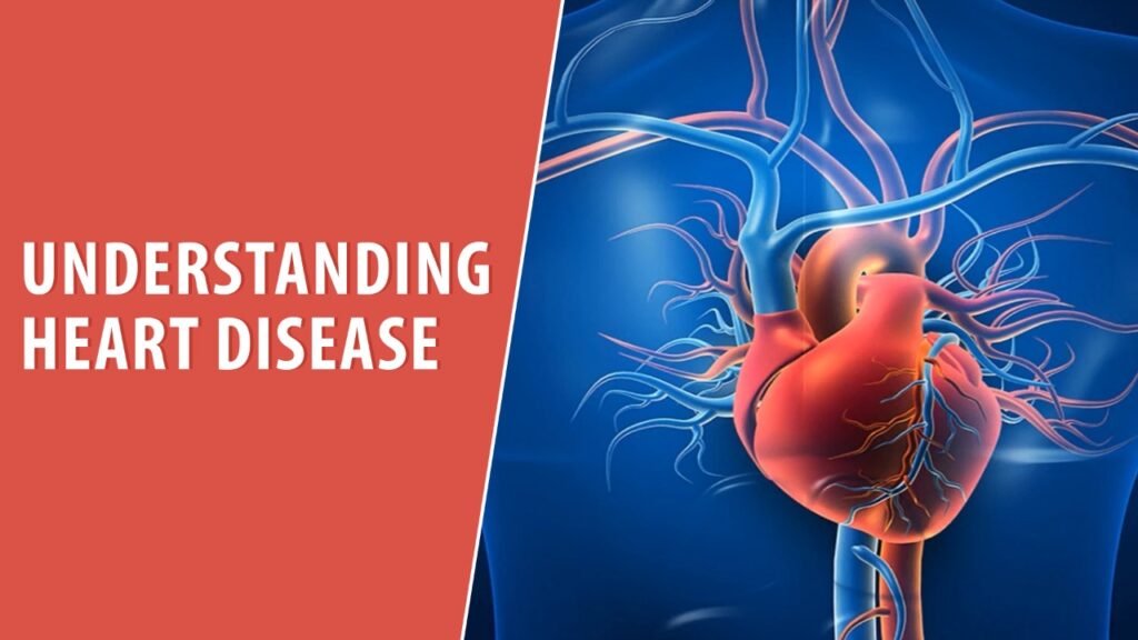 Understanding Heart Disease