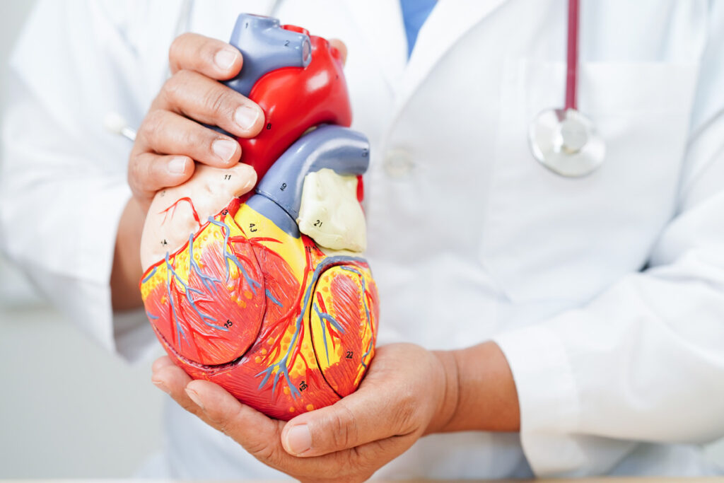 Understanding Heart Disease