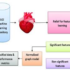 Can Heart Health Be Improved? A Comprehensive Guide