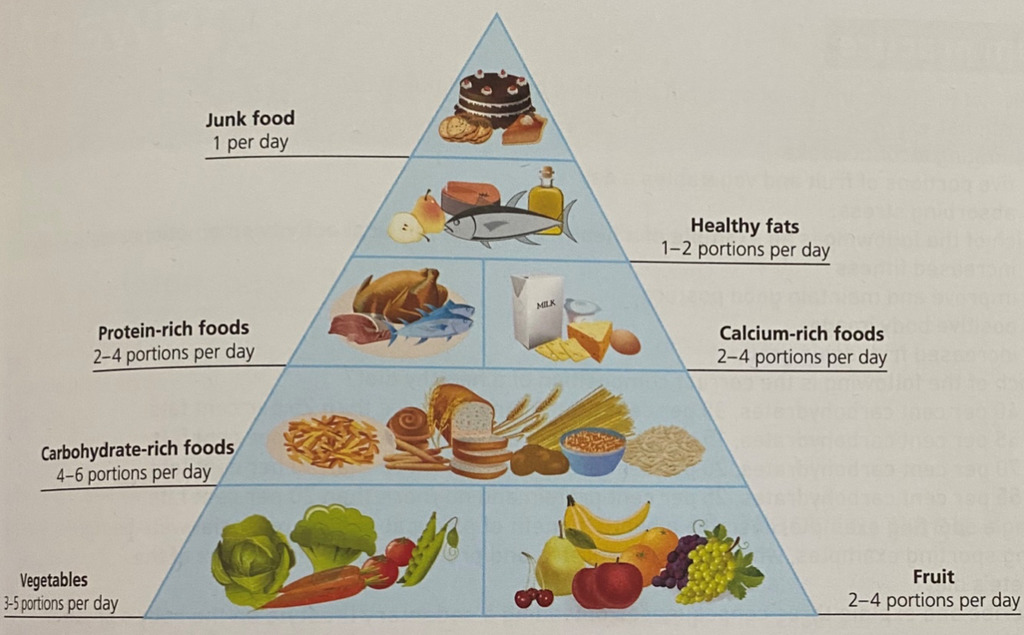 Balanced Diet and Macronutrients